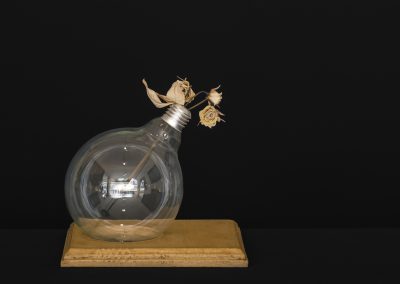 Bulb Vase